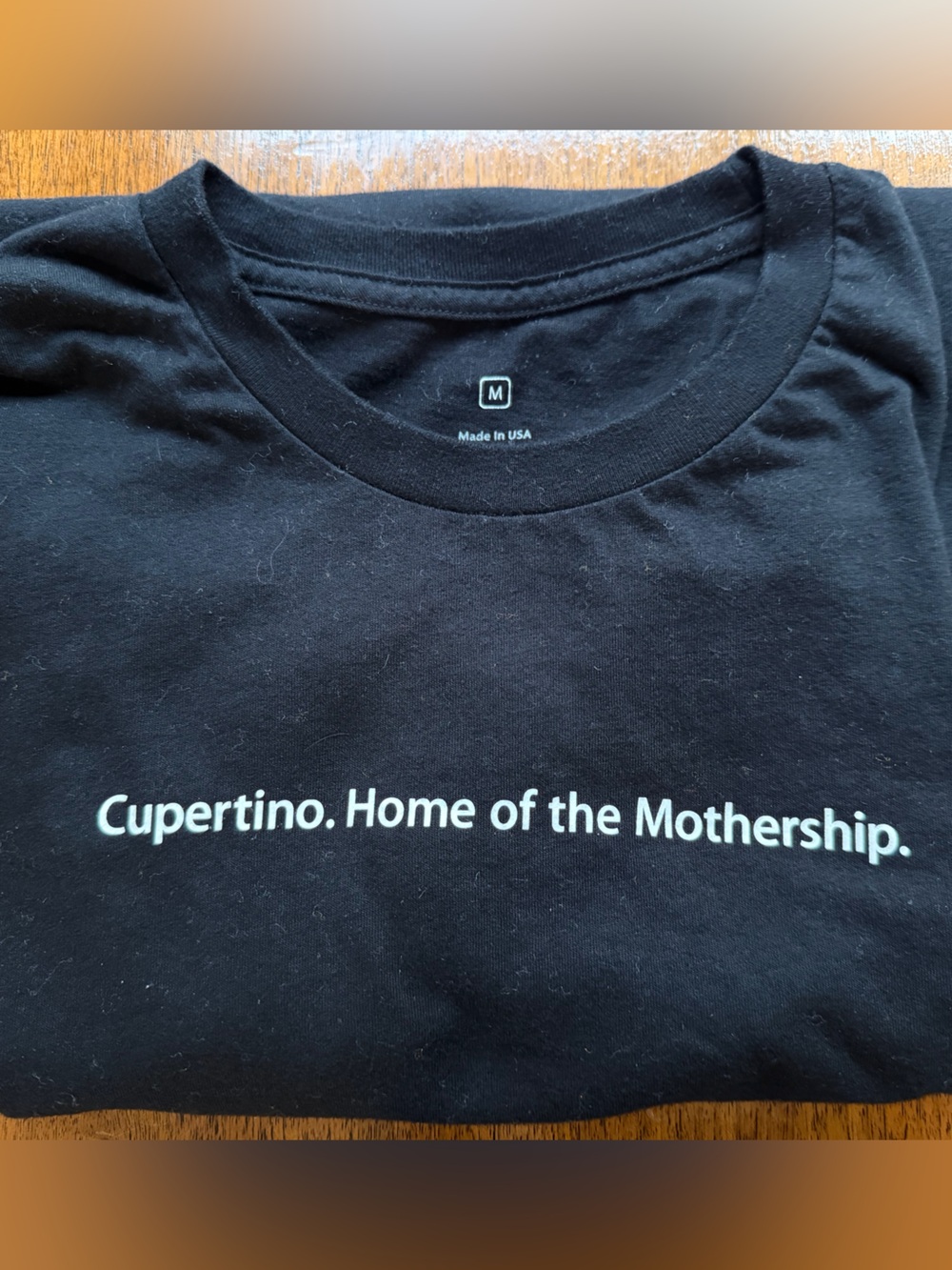 APPLE Cupertino 'Home of the Mothership' Black Graphic Tee / SIZE S/M